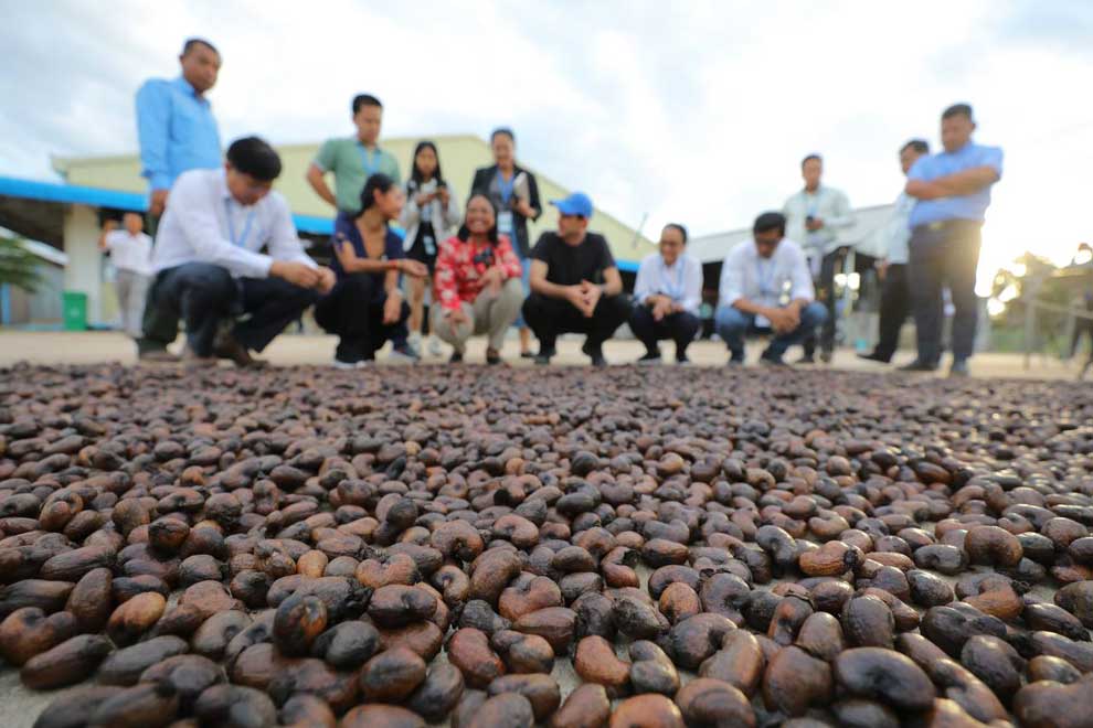 Cambodia looking to dominate global cashew nut market